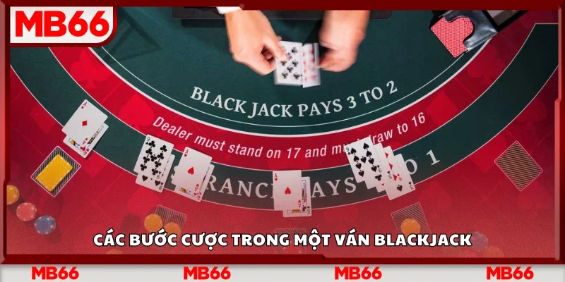 Các bước cược trong một ván Blackjack