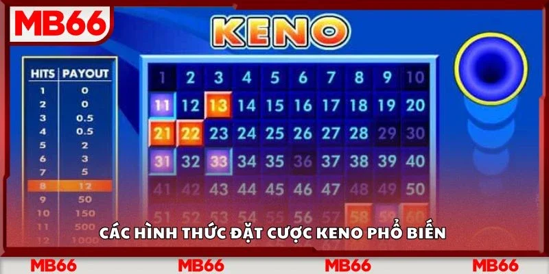 Các hình thức đặt cược Keno phổ biến 