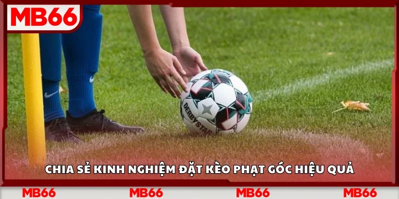 Các kinh nghiệm đặt kèo phạt góc hiệu quả