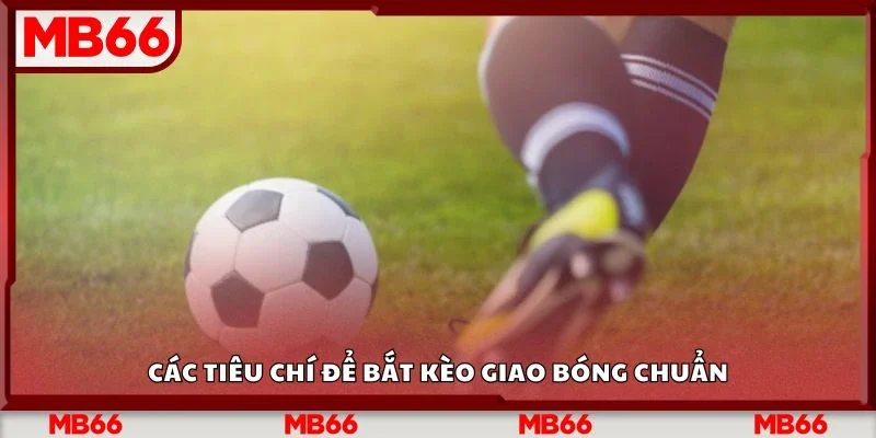 Các tiêu chí để bắt kèo giao bóng chuẩn