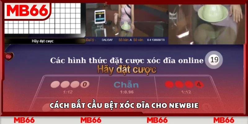 Cách bắt cầu bệt xóc đĩa cho newbie