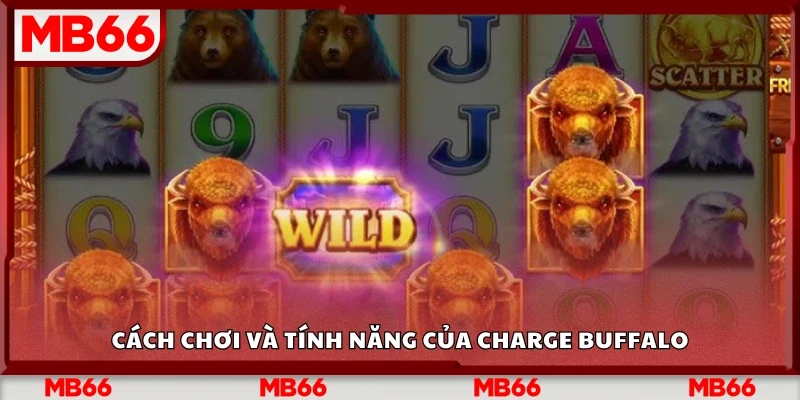Cách chơi và tính năng của Charge Buffalo