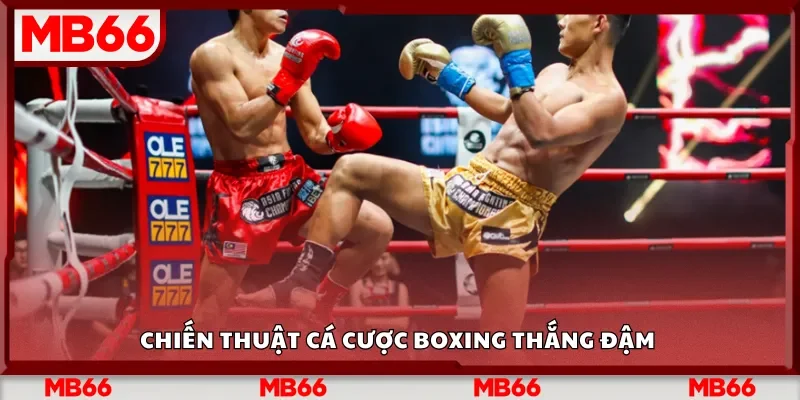 Chiến thuật cá cược boxing thắng đậm