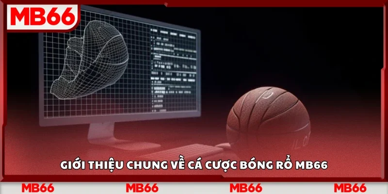 Giới thiệu chung về cá cược bóng rổ Mb66