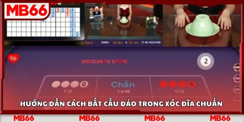 Hướng dẫn cách bắt cầu đảo trong xóc đĩa chuẩn