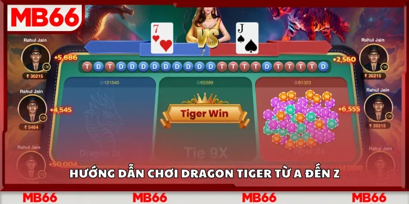 Hướng dẫn chơi Dragon Tiger từ A đến Z