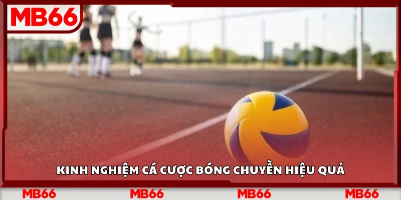 Kinh nghiệm cá cược bóng chuyền hiệu quả
