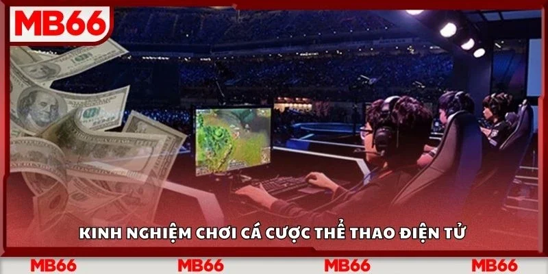 Kinh nghiệm chơi cá cược thể thao điện tử 
