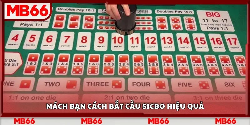 Mách bạn cách bắt cầu Sicbo hiệu quả