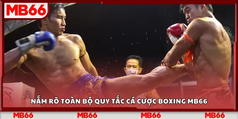 Nắm rõ toàn bộ quy tắc cá cược boxing MB66