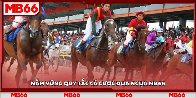 Nắm vững quy tắc cá cược đua ngựa MB66