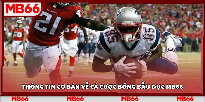 Thông tin cơ bản về cá cược bóng bầu dục MB66