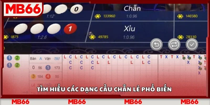 Tìm hiểu các dạng cầu chẵn lẻ phổ biến 
