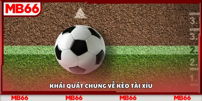 Tìm hiểu chung về kèo tài xỉu