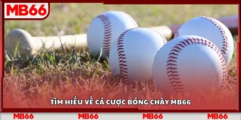 Tìm hiểu về cá cược bóng chày Mb66