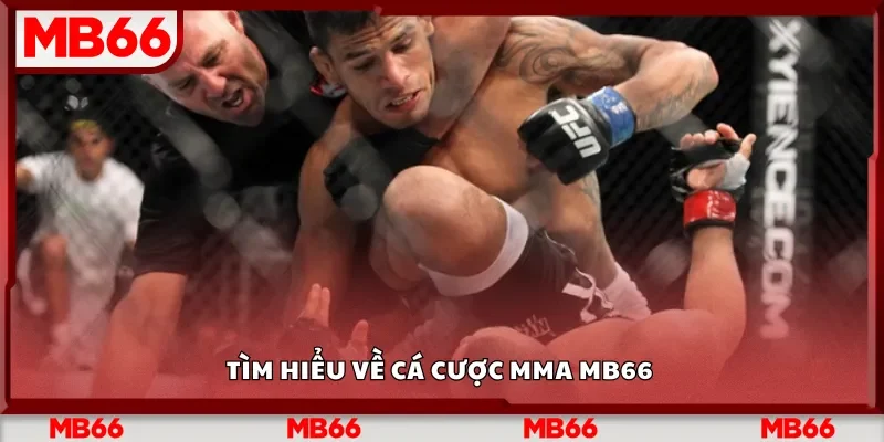 Tìm hiểu về cá cược MMA Mb66