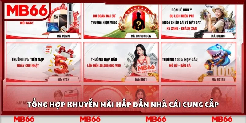 Tổng hợp khuyến mãi hấp dẫn nhà cái cung cấp