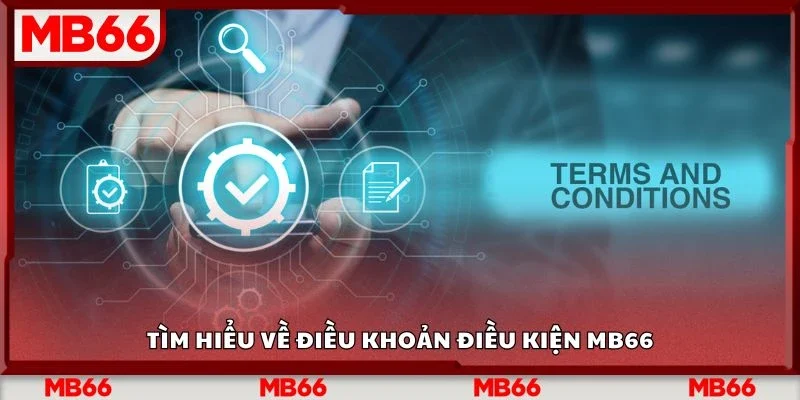 Tìm hiểu về điều khoản điều kiện MB66